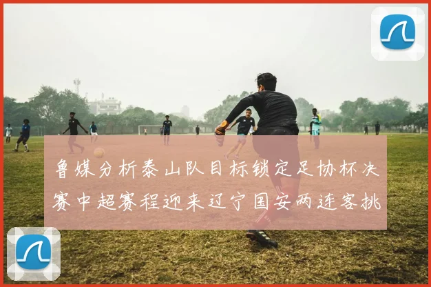 鲁媒分析泰山队目标锁定足协杯决赛中超赛程迎来辽宁国安两连客挑战
